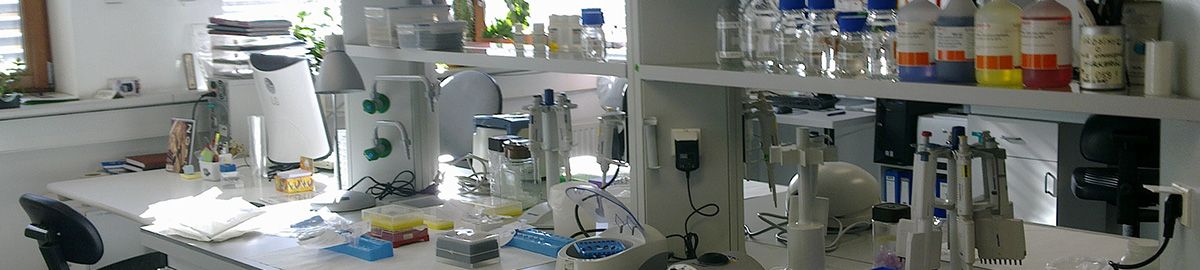 lab compressor